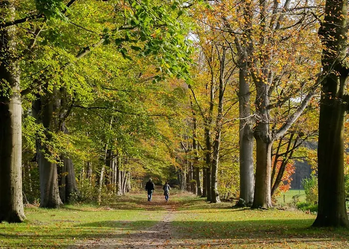 Jager En Hooijmijt Hébergement de vacances